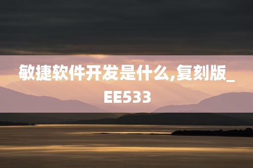 敏捷软件开发是什么,复刻版_EE533