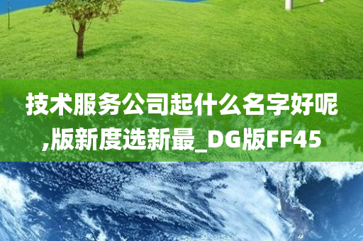 技术服务公司起什么名字好呢,版新度选新最_DG版FF45