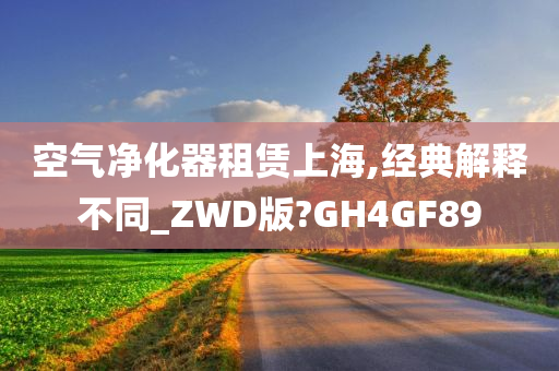 空气净化器租赁上海,经典解释不同_ZWD版?GH4GF89