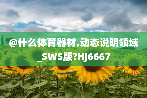 @什么体育器材,动态说明领域_SWS版?HJ6667