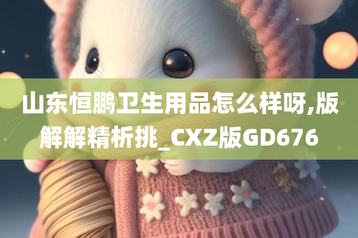 山东恒鹏卫生用品怎么样呀,版解解精析挑_CXZ版GD676