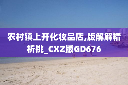 农村镇上开化妆品店,版解解精析挑_CXZ版GD676