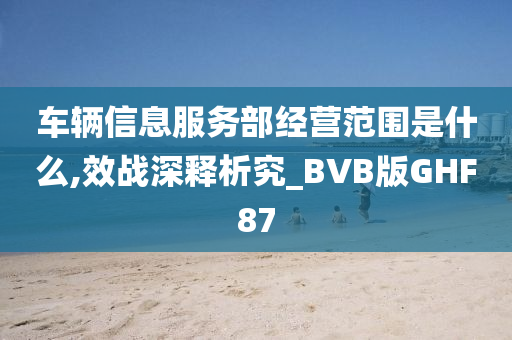 车辆信息服务部经营范围是什么,效战深释析究_BVB版GHF87