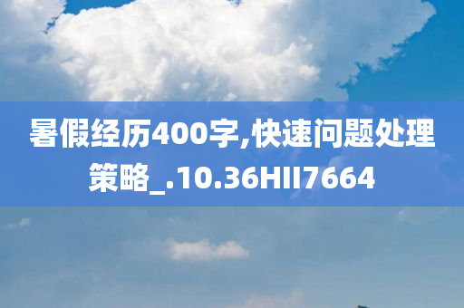 暑假经历400字