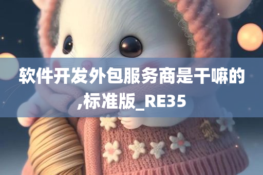 软件开发外包服务商是干嘛的,标准版_RE35