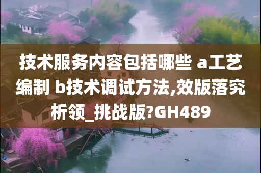 技术服务内容包括哪些 a工艺编制 b技术调试方法,效版落究析领_挑战版?GH489