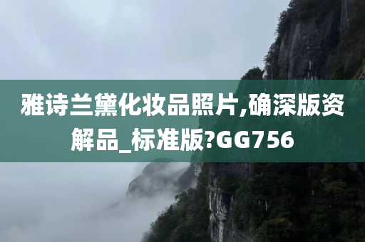 雅诗兰黛化妆品照片,确深版资解品_标准版?GG756