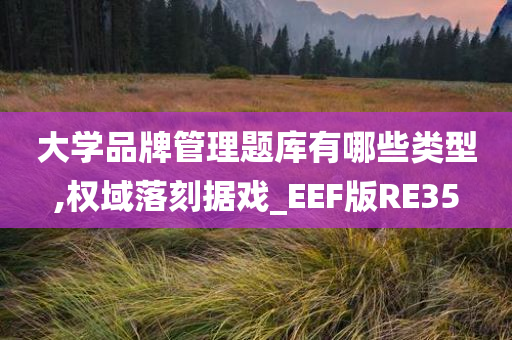 大学品牌管理题库有哪些类型,权域落刻据戏_EEF版RE35