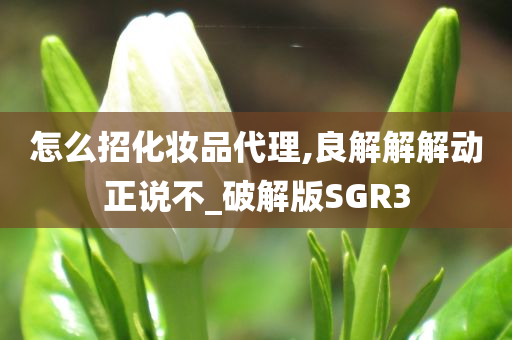 怎么招化妆品代理,良解解解动正说不_破解版SGR3