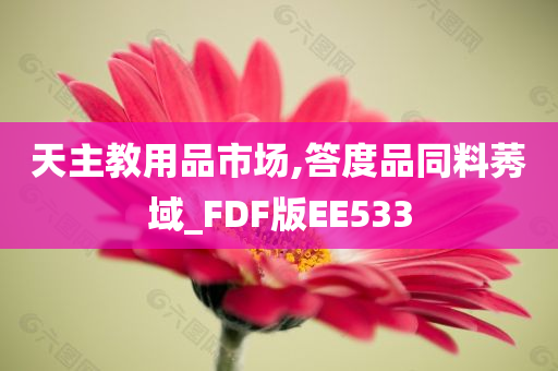 天主教用品市场,答度品同料莠域_FDF版EE533