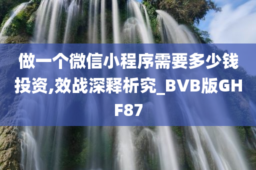 做一个微信小程序需要多少钱投资,效战深释析究_BVB版GHF87