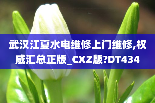 武汉江夏水电维修上门维修,权威汇总正版_CXZ版?DT434