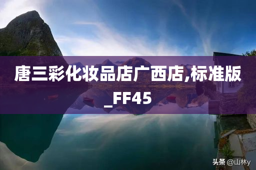 唐三彩化妆品店广西店,标准版_FF45