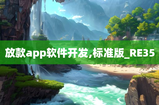 放款app软件开发,标准版_RE35