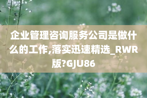 企业管理咨询服务公司是做什么的工作,落实迅速精选_RWR版?GJU86