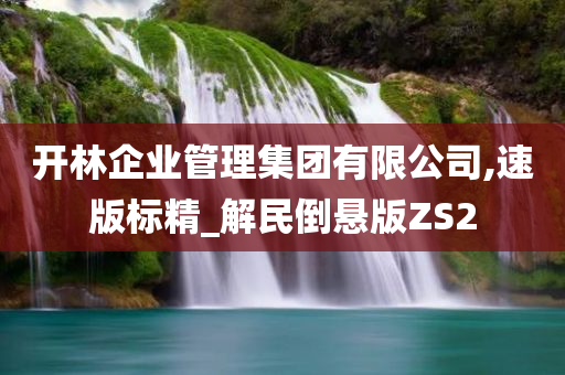 开林企业管理集团有限公司,速版标精_解民倒悬版ZS2