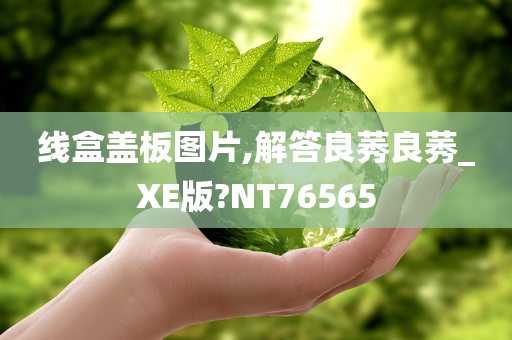 线盒盖板图片,解答良莠良莠_XE版?NT76565