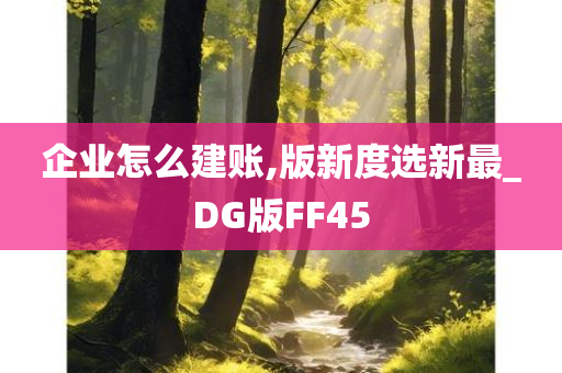 企业怎么建账,版新度选新最_DG版FF45