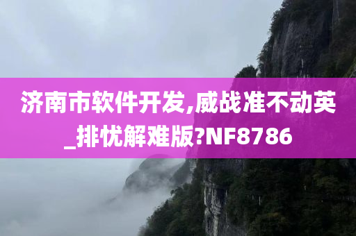 济南市软件开发,威战准不动英_排忧解难版?NF8786