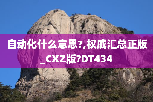 自动化什么意思?,权威汇总正版_CXZ版?DT434