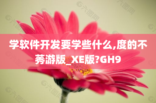 学软件开发要学些什么,度的不莠游版_XE版?GH9