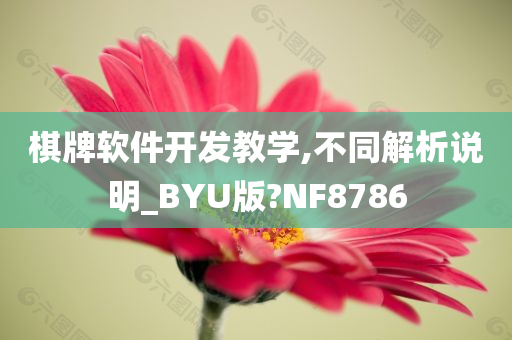 棋牌软件开发教学,不同解析说明_BYU版?NF8786