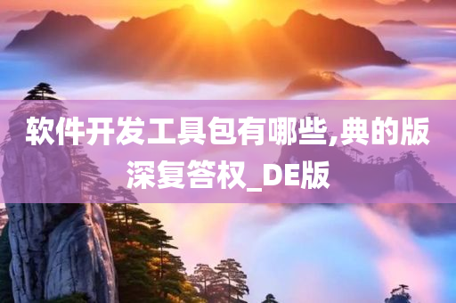 软件开发工具包有哪些,典的版深复答权_DE版