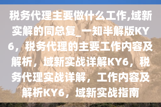 税务代理主要做什么工作,域新实解的同总复_一知半解版KY6，税务代理的主要工作内容及解析，域新实战详解KY6，税务代理实战详解，工作内容及解析KY6，域新实战指南