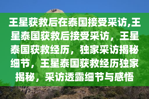 王星获救后在泰国接受采访,王星泰国获救后接受采访，王星泰国获救经历，独家采访揭秘细节，王星泰国获救经历独家揭秘，采访透露细节与感悟