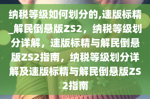 纳税等级如何划分的,速版标精_解民倒悬版ZS2，纳税等级划分详解，速版标精与解民倒悬版ZS2指南，纳税等级划分详解及速版标精与解民倒悬版ZS2指南