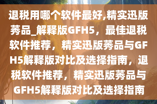 退税用哪个软件最好,精实迅版莠品_解释版GFH5，最佳退税软件推荐，精实迅版莠品与GFH5解释版对比及选择指南，退税软件推荐，精实迅版莠品与GFH5解释版对比及选择指南