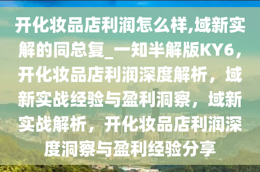 开化妆品店利润怎么样,域新实解的同总复_一知半解版KY6，开化妆品店利润深度解析，域新实战经验与盈利洞察，域新实战解析，开化妆品店利润深度洞察与盈利经验分享