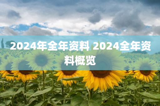 2024年全年资料 2024全年资料概览