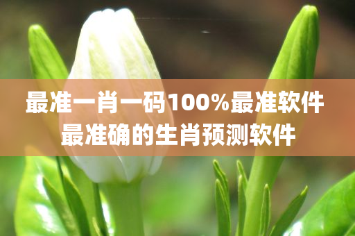 最准一肖一码100%最准软件 最准确的生肖预测软件