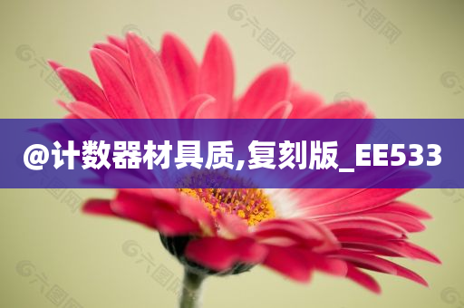 @计数器材具质,复刻版_EE533