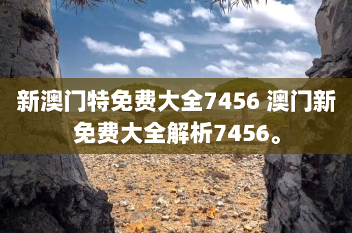 新澳门特免费大全7456 澳门新免费大全解析7456。