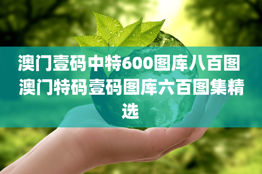 澳门壹码中特600图库八百图 澳门特码壹码图库六百图集精选