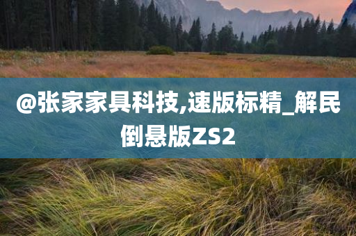 @张家家具科技,速版标精_解民倒悬版ZS2