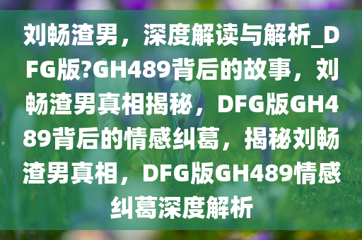 刘畅渣男，深度解读与解析_DFG版?GH489背后的故事，刘畅渣男真相揭秘，DFG版GH489背后的情感纠葛，揭秘刘畅渣男真相，DFG版GH489情感纠葛深度解析