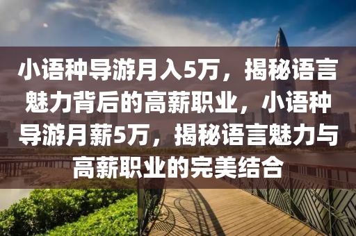 小语种导游月入5万，揭秘语言魅力背后的高薪职业，小语种导游月薪5万，揭秘语言魅力与高薪职业的完美结合