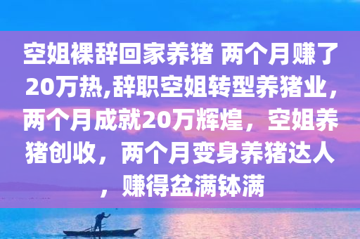 空姐裸辞回家养猪 两个月赚了20万热,辞职空姐转型养猪业，两个月成就20万辉煌，空姐养猪创收，两个月变身养猪达人，赚得盆满钵满