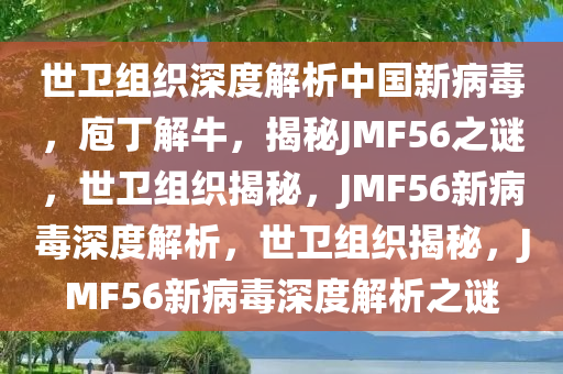 世卫组织深度解析中国新病毒，庖丁解牛，揭秘JMF56之谜，世卫组织揭秘，JMF56新病毒深度解析，世卫组织揭秘，JMF56新病毒深度解析之谜