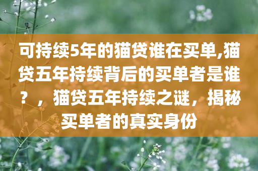 可持续5年的猫贷谁在买单,猫贷五年持续背后的买单者是谁？，猫贷五年持续之谜，揭秘买单者的真实身份