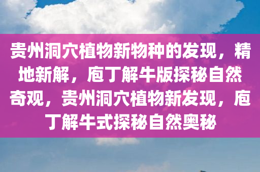 贵州洞穴植物新物种的发现，精地新解，庖丁解牛版探秘自然奇观，贵州洞穴植物新发现，庖丁解牛式探秘自然奥秘