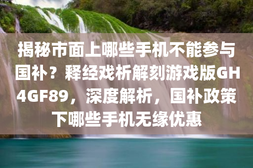 揭秘市面上哪些手机不能参与国补？释经戏析解刻游戏版GH4GF89，深度解析，国补政策下哪些手机无缘优惠