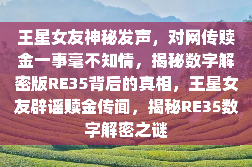 王星女友神秘发声，对网传赎金一事毫不知情，揭秘数字解密版RE35背后的真相，王星女友辟谣赎金传闻，揭秘RE35数字解密之谜