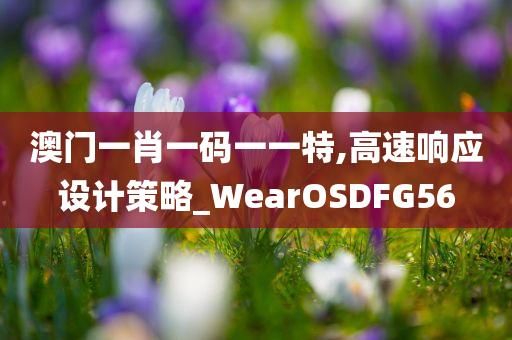 澳门一肖一码一一特,高速响应设计策略_WearOSDFG56