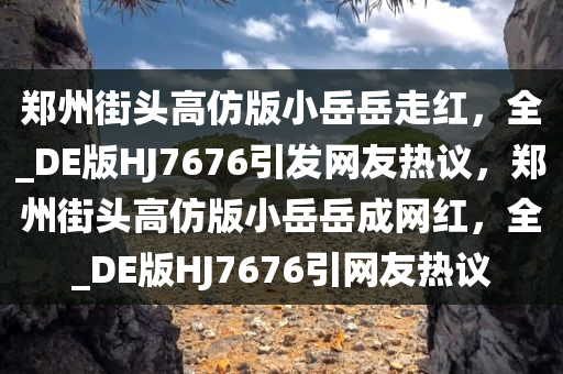 郑州街头高仿版小岳岳走红，全_DE版HJ7676引发网友热议，郑州街头高仿版小岳岳成网红，全_DE版HJ7676引网友热议