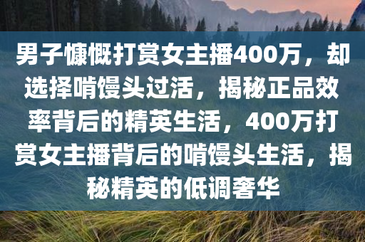 男子慷慨打赏女主播400万，却选择啃馒头过活，揭秘正品效率背后的精英生活，400万打赏女主播背后的啃馒头生活，揭秘精英的低调奢华