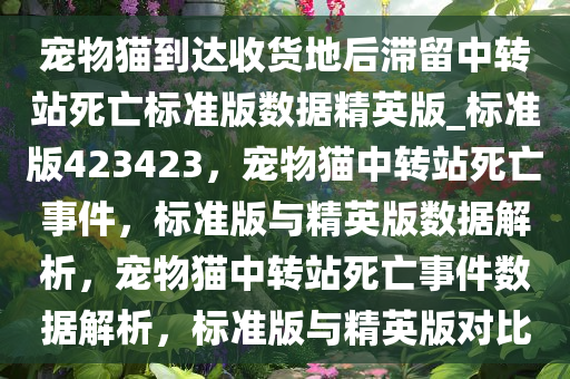 宠物猫到达收货地后滞留中转站死亡标准版数据精英版_标准版423423，宠物猫中转站死亡事件，标准版与精英版数据解析，宠物猫中转站死亡事件数据解析，标准版与精英版对比